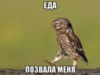 еда позвала меня