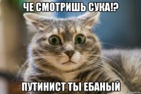 че смотришь сука!? путинист ты ебаный