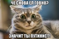 че снова ел говно? значит ты путинист!