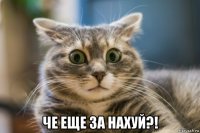  че еще за нахуй?!