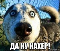  да ну нахер!