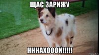 щас зарижу нннахооой!!!!!