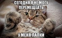 сегодня я не могу перемещеать у меня лапки