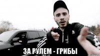  за рулем - грибы