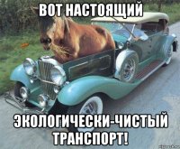 вот настоящий экологически-чистый транспорт!