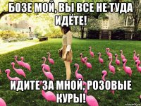 бозе мой, вы все не туда идёте! идите за мной, розовые куры!