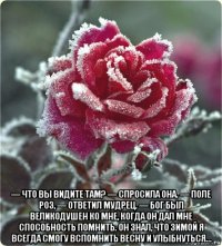  — что вы видите там? — спросила она. — поле роз, — ответил мудрец. — бог был великодушен ко мне, когда он дал мне способность помнить. он знал, что зимой я всегда смогу вспомнить весну и улыбнуться...
