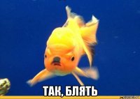  так, блять