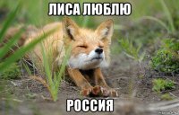 лиса люблю россия