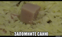  запомните саню