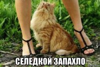  селедкой запахло