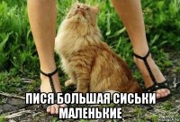  пися большая сиськи маленькие