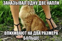 заказывал одну две капли впихивают на два размера больше