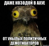 даже козодой в ахуе от унылых политичных демотиваторов