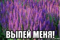  выпей меня!