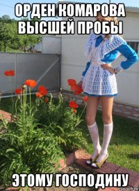 орден комарова высшей пробы этому господину
