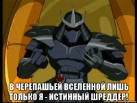  в черепашьей вселенной лишь только я - истинный шреддер!