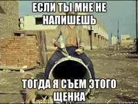 если ты мне не напишешь тогда я съем этого щенка