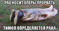 рао носит оперы прорвать тимол определяется рака