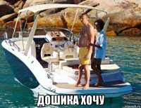  дошика хочу