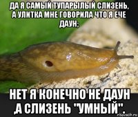 да я самый тупарылый слизень, а улитка мне говорила что я ече даун; нет я конечно не даун ,а слизень "умный".
