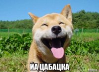  йа цабацка