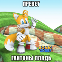 превет гантоны плядь