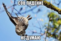 сов падение не думаю
