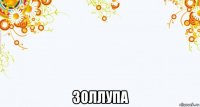  золлупа