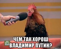  чем так хорош владимир путин?