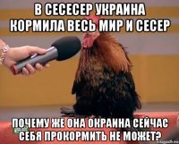 в сесесер украина кормила весь мир и сесер почему же она окраина сейчас себя прокормить не может?
