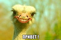  привет !