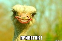  приветик !