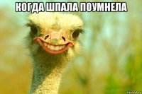 когда шпала поумнела 