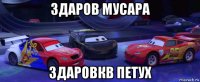 здаров мусара здаровкв петух