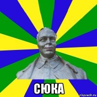  сюка