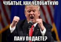 чубатые, как челобитную пану подаете?