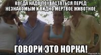 когда надо похвастаться перед незнакомым и видно мёртвое животное говори это норка!