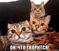  ой, что творится!