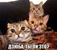  дзюба, ты ли это?