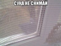 сука не снимай 