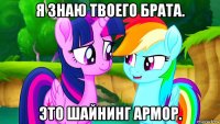 я знаю твоего брата. это шайнинг армор.