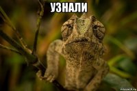 узнали 