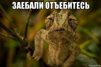 заебали отъебитесь 