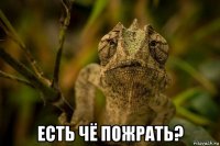  есть чё пожрать?