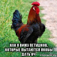  как я вижу петушков, которые пытаются якобы дать нч