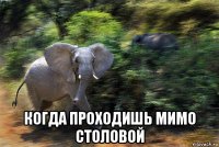  когда проходишь мимо столовой