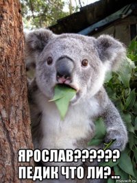  ярослав?????? педик что ли?...