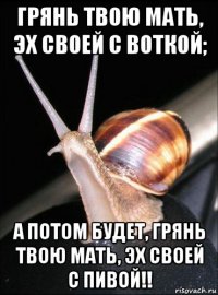 грянь твою мать, эх своей с воткой; а потом будет, грянь твою мать, эх своей с пивой!!