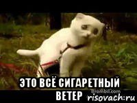  это всё сигаретный ветер